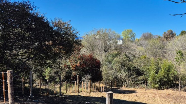 WhatsApp Image 2025-08-26 at 11.37.58 (1).jpeg